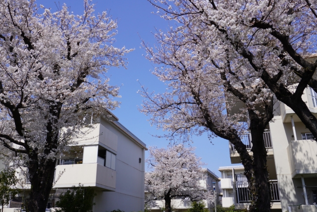 おゆみ野 ちはら台
